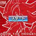 Click here to go to the 7th of 7 "Sonic the Hedgehog: Sonic Puzzles" pages (Flash powered), which has 3 different puzzles to solve