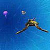 Click here to play the Flash game "Finding Nemo: Cruising with Crush"